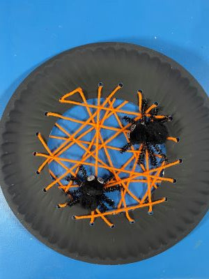 Yarn Spider Web