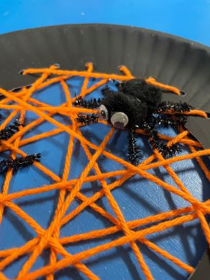 Yarn Spider Web